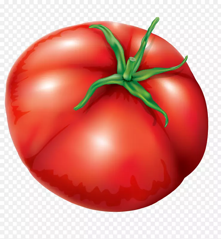 李子番茄灌木丛番茄汤