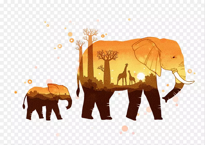 非洲象印度象轮廓象和小象