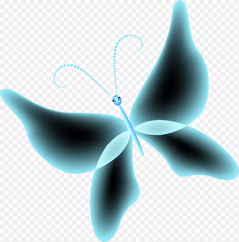 蝴蝶蓝-梦幻般的蓝蝴蝶