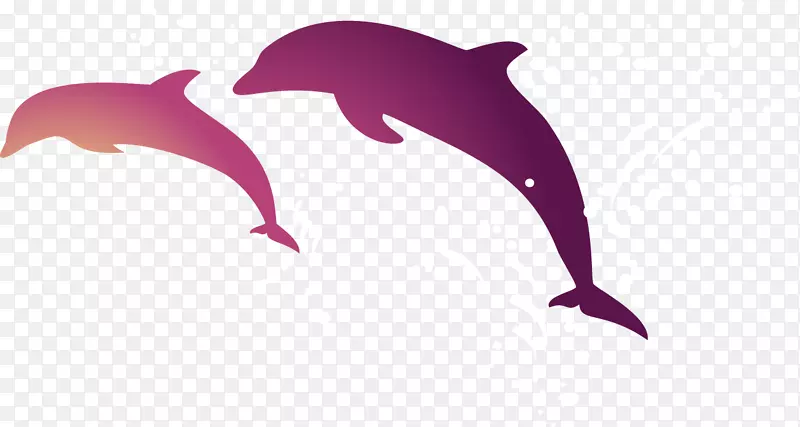 图库西短喙海豚安卓壁纸跳海豚
