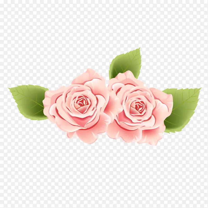 花园玫瑰粉红色牡丹粉牡丹花