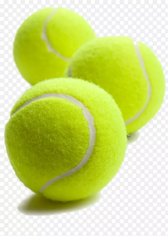 狗网球中心-高清绿色高尔夫