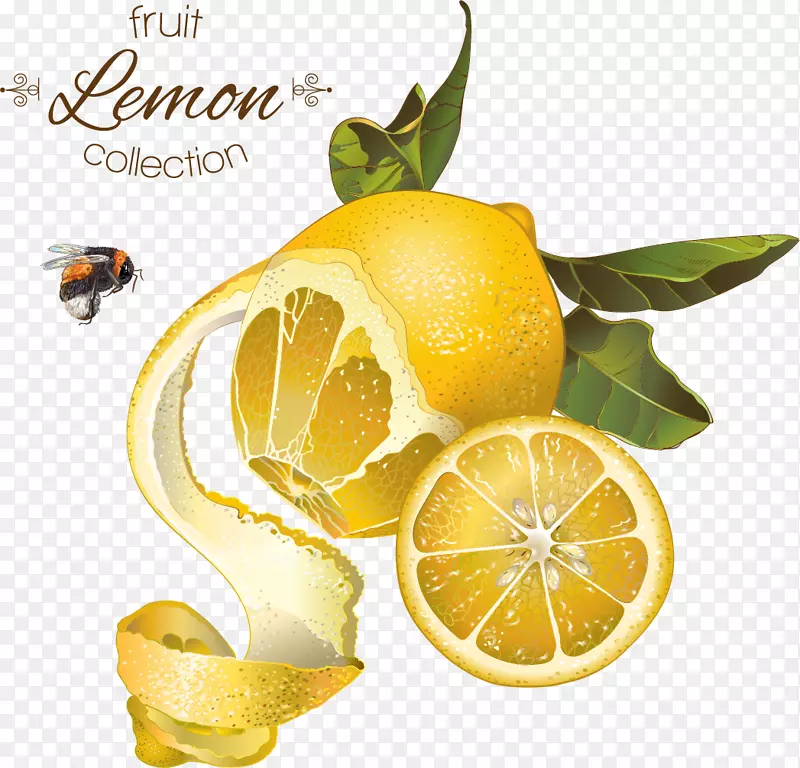 柠檬水果插图-背景追溯橙色柠檬蜂蜜