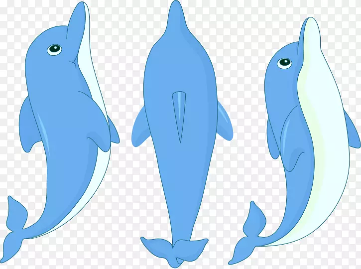 海豚动画剪辑艺术-可爱的小海豚正在跳跃