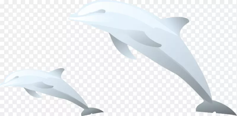 图库溪普通宽吻海豚鲸鲨