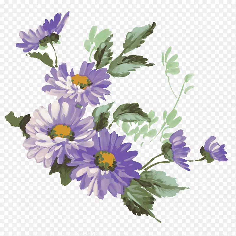 菊花紫色水墨画花-菊花装饰