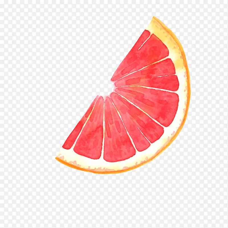 柚子血橙插图卡通柚子切块