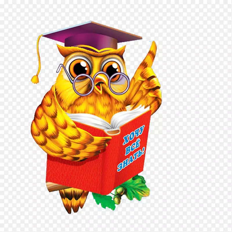 文凭幼稚园论文教育家-OWL