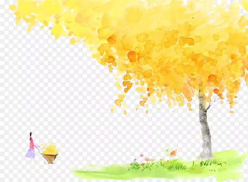 枫叶插图-秋季枫树图片材料
