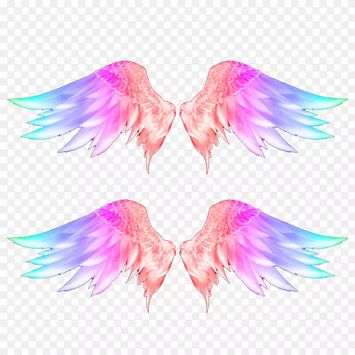 翅膀羽毛下载-彩色翅膀照片
