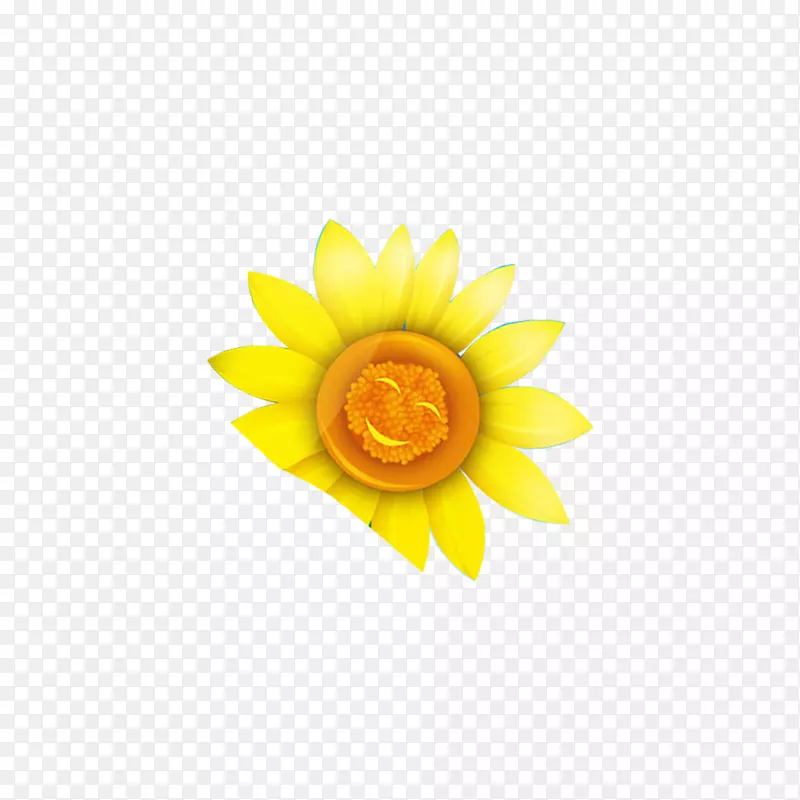 微笑谷歌图片墙纸-向日葵