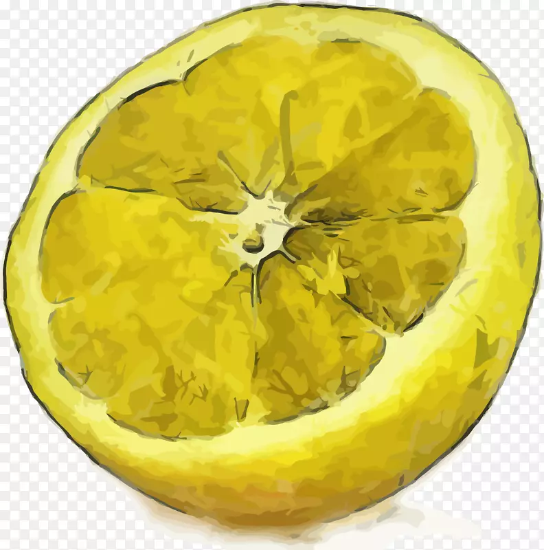 水彩画奥格里斯插图手绘水彩画写实柠檬