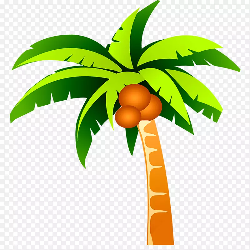 椰子树-椰子树植物