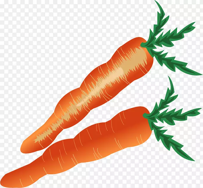 小胡萝卜蔬菜卡通胡萝卜