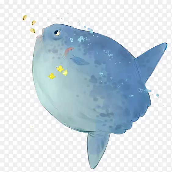 露脊鲸蓝鲸