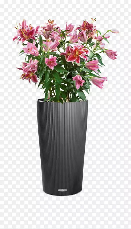 花盆小屋小猫头鹰室内植物花盆花瓶