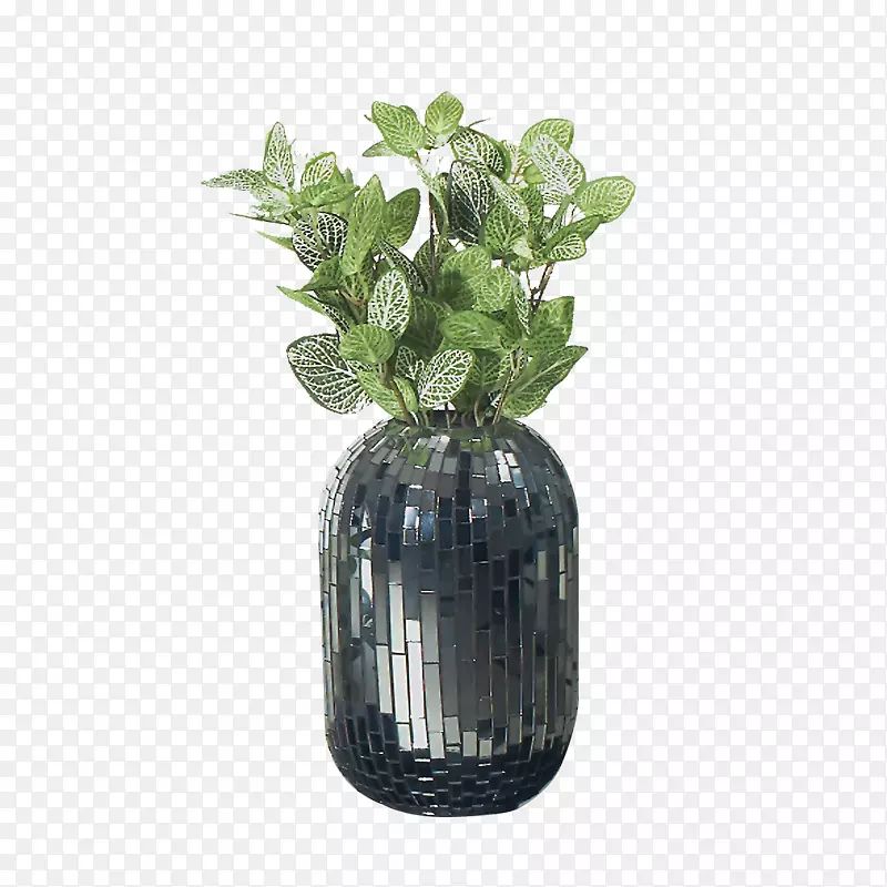 花瓶透明度和半透明花瓶