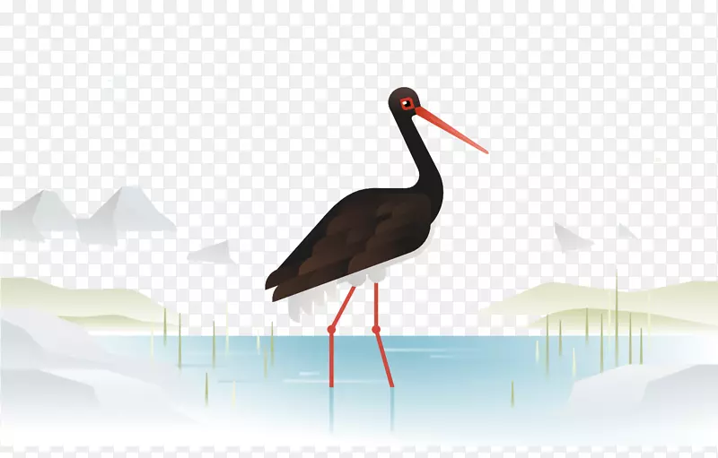 鹤鹭鸟鹳涉水-安静环境黑鹤