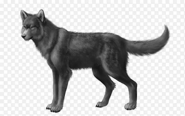 爱尔兰狼犬东西伯利亚莱卡北极狼犬品种狼狗-狼犬