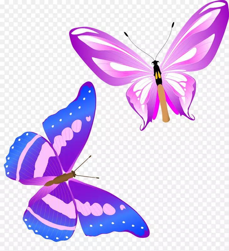 帝王蝴蝶昆虫剪贴画-有趣的彩色蝴蝶载体美丽的动物