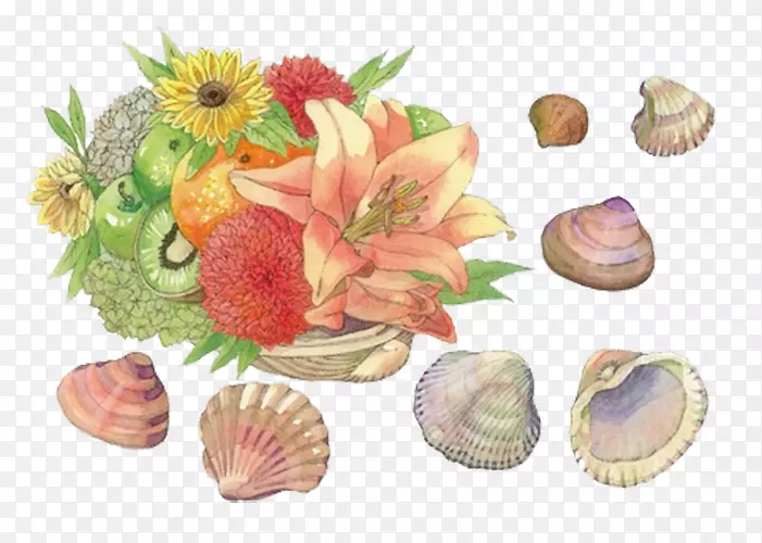 海螺--水果和海螺