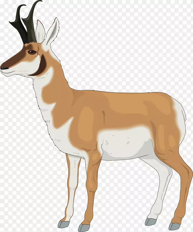 羚羊叉角夹艺术-橙色鹿