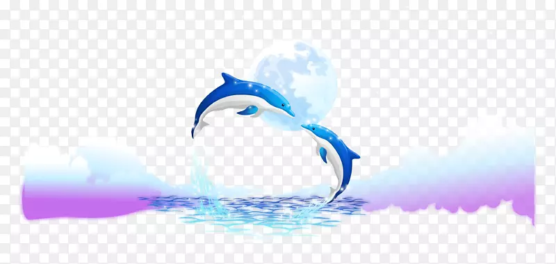 风浪海水剪辑艺术海豚