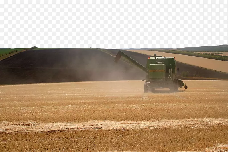 农作物收获土壤草-麦田收获