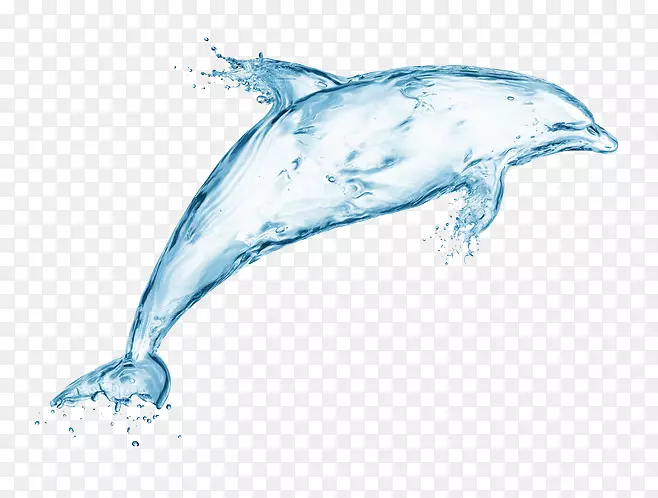 海豚水股摄影插图.水海豚