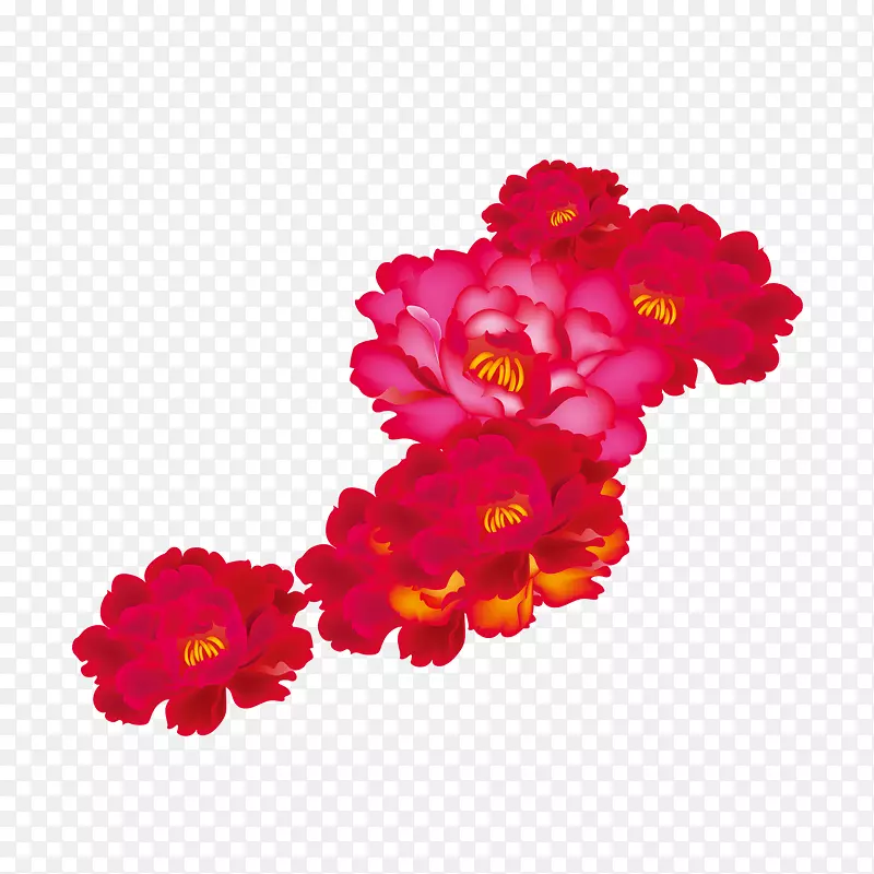 花园玫瑰牡丹红牡丹花