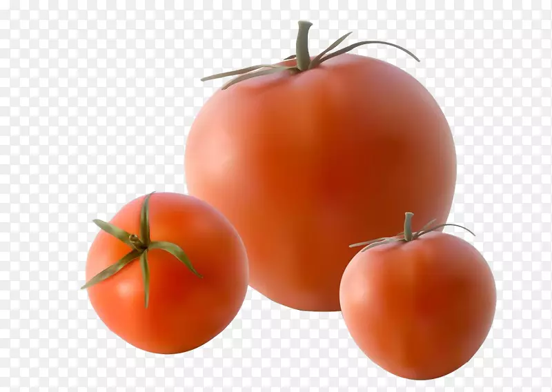 番茄免费插画-番茄装饰