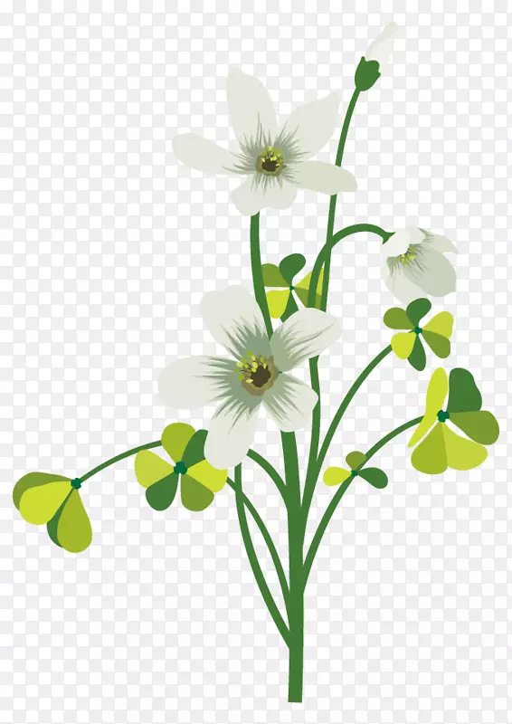 花卉画四叶三叶草绿色三叶草花瓣白色装饰