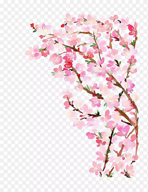 纸樱花水彩画-桃树