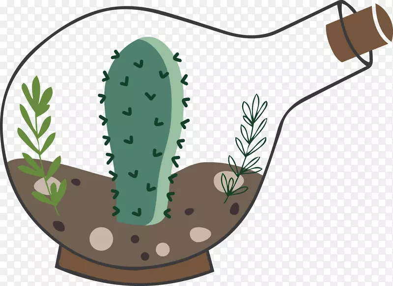 植物插图-仙人掌鳞茎