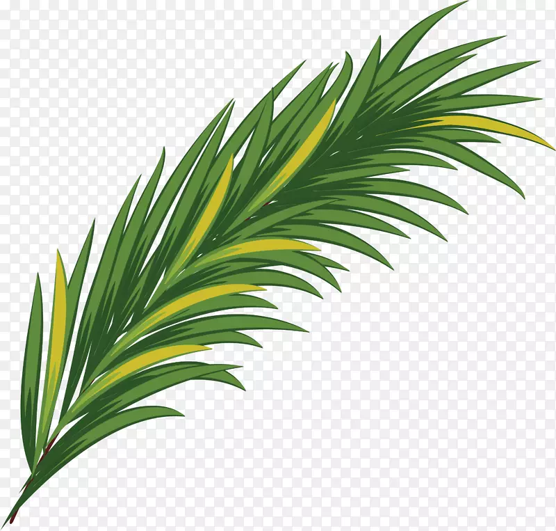 绿色水彩画叶-简单的绿草