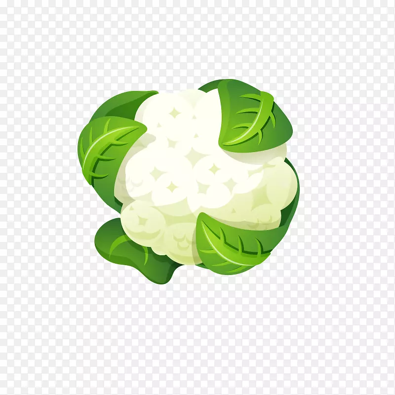 花椰菜成分食品卡通花椰菜