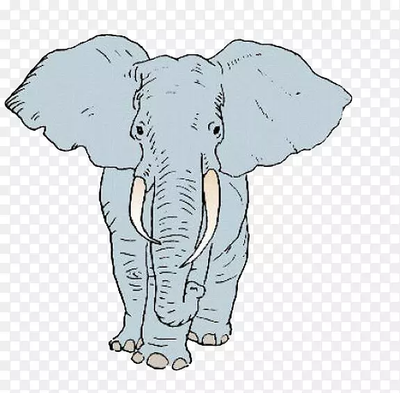 非洲象印度象卡通插图-大象