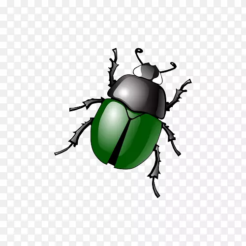 甲虫免费内容软件错误剪辑艺术甲虫画图像