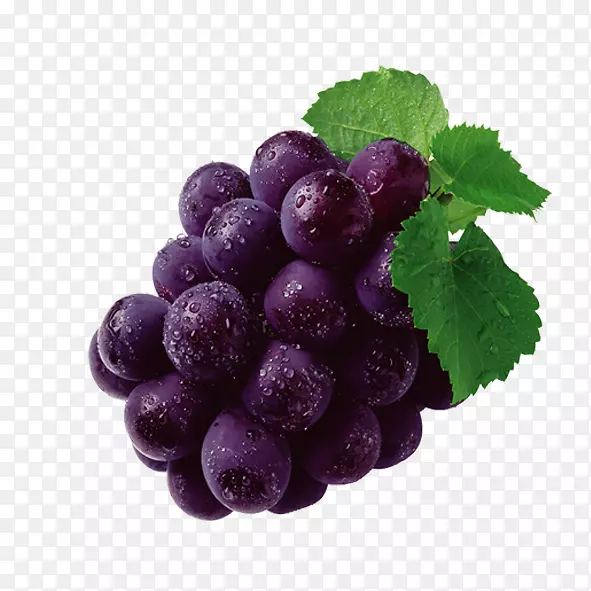 葡萄籽提取物葡萄叶片葡萄原花青素葡萄