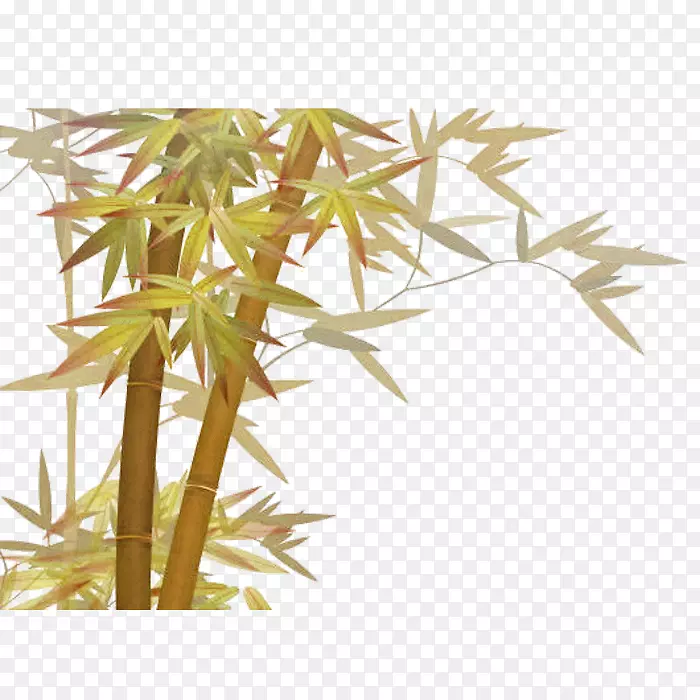 竹绿竹