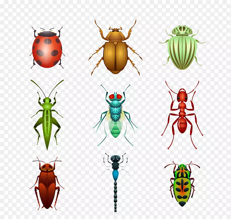甲虫贴纸瓢虫设计昆虫载体材料