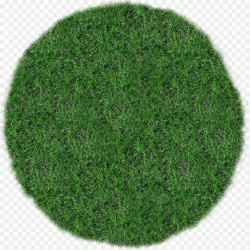 蓝草坪草甸