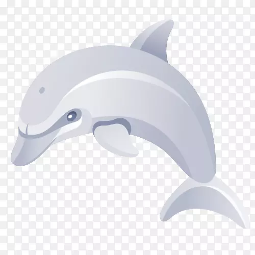 普通宽吻海豚短喙普通海豚图库溪卡通海豚