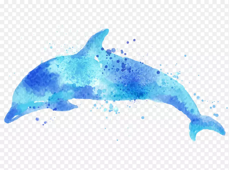 纸海豚画水彩画-画海豚