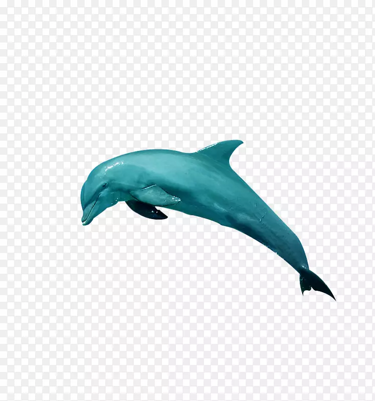 墙壁贴纸-跳跃海豚