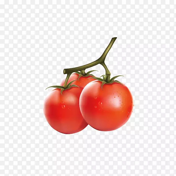 樱桃番茄蔬菜水果剪贴画-美味番茄