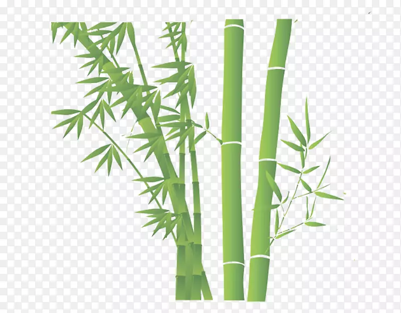 竹子下载-绿竹