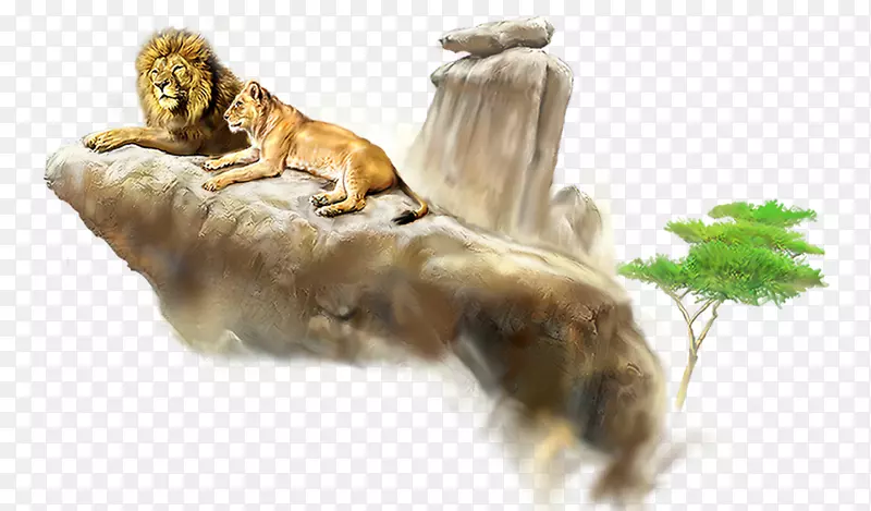 狮狮