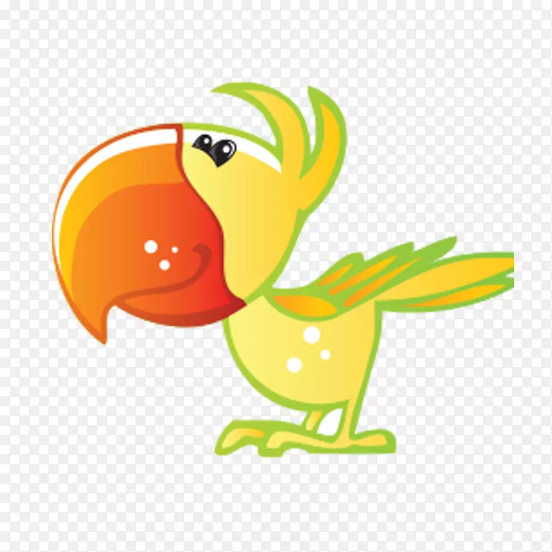 亚马逊鹦鹉鸟鹦鹉