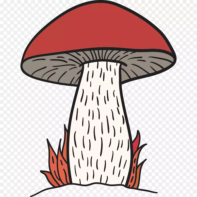 蘑菇木耳剪贴画-蘑菇，真菌